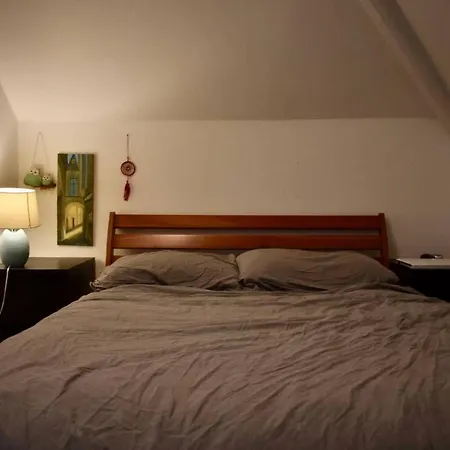 Temple Bar Oasis With Rooftop Views Apartment
